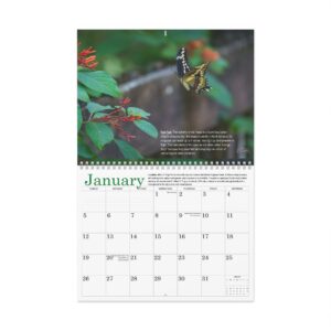 Animal Wall Calendar 2025 with Florida Wetlands Photos and Facts